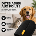 Le lot d'empreintes de pattes en argile