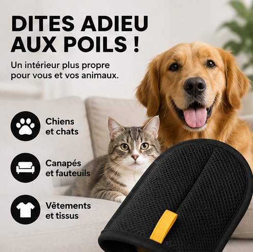 Le lot d'empreintes de pattes en argile